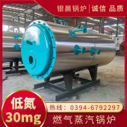 6噸燃?xì)忮仩t