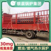 2噸燃?xì)馊細(xì)忮仩t