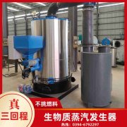 6噸燃?xì)忮仩t多少錢