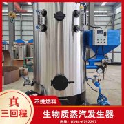 3噸燃?xì)忮仩t多少錢(qián)
