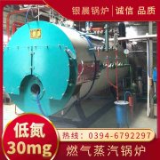 0.3噸燃?xì)庹羝l(fā)生器