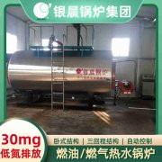 燃?xì)饬⑹匠簾崴仩t