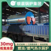 甲醇蒸汽鍋爐