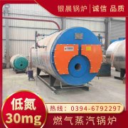 沼氣蒸汽鍋爐