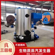 承壓蒸汽鍋爐