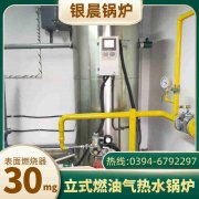 燃油燃?xì)鈱?dǎo)熱油爐廠家