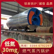 工業(yè)煤氣蒸汽鍋爐