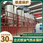 小型立式燃油蒸汽鍋爐