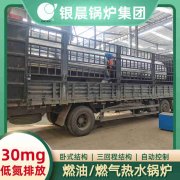 CWNS2.8-85/60-QY天然氣熱水鍋爐