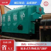 90kw液化氣熱水鍋爐